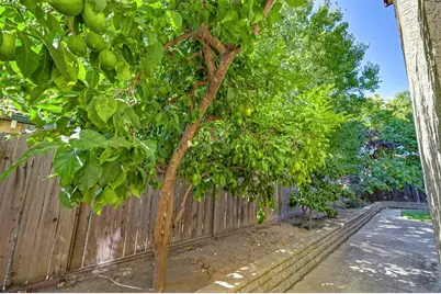 355 Silberhorn Drive, Folsom, CA 95630 - Photo 63