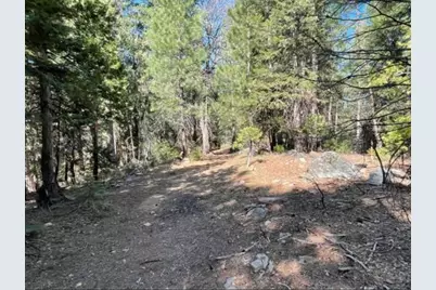 12664 Last Chance Mine Road, Nevada City, CA 95959 - Photo 3