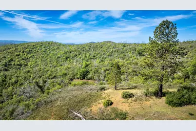 486 Rich Gulch, Mokelumne Hill, CA 95245 - Photo 7