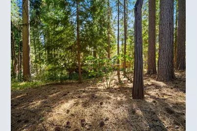 6250 Terrace Drive, Pollock Pines, CA 95726 - Photo 9