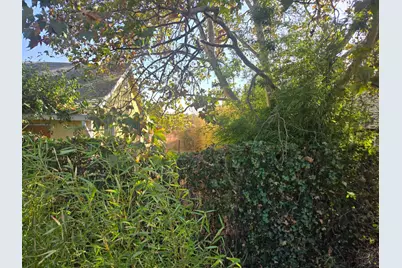 8690 Calvine Road, Sacramento, CA 95828 - Photo 3