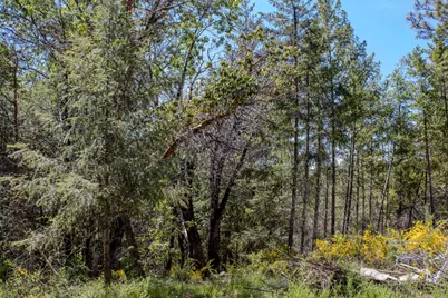5734 Wilder Road, Georgetown, CA 95634 - Photo 95