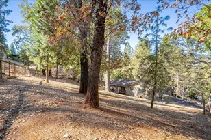 3103 Talking Mountain Trail, Cool, CA 95614 - Photo 41