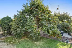 1116 Darnel Way, Sacramento, CA 95822 - Photo 55