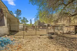 1560 State Hwy 49, Placerville, CA 95667 - Photo 79