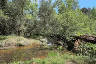 9844 Township Rd, Browns Valley, CA 95918 - Photo 67
