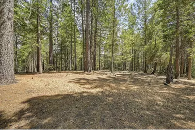 7470 Lion Alley #3, Georgetown, CA 95634 - Photo 55