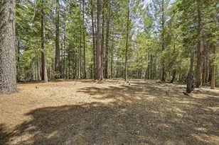 7470 Lion Alley, Georgetown, CA 95634 - Photo 55