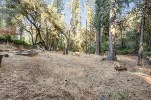 13193 Tabeaud Rd, Pine Grove, CA 95665 - Photo 39
