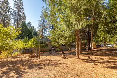 26355 Meadow Drive, Pioneer, CA 95666 - Photo 5