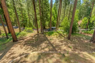 19541 Woodridge Dr, Pioneer, CA 95666 - Photo 17
