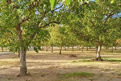 16580 E Highway 88, Lockeford, CA 95237 - Photo 49