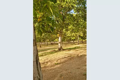 16580 E Highway 88, Lockeford, CA 95237 - Photo 51