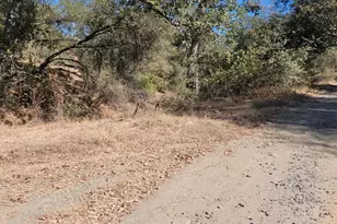 3730 Sherrod Rd, Mariposa, CA 95338 - Photo 5