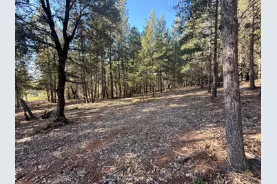 18595 You Bet Rd, Grass Valley, CA 95945 - Photo 3