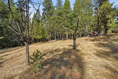 1860 Henrys Place, Camino, CA 95709 - Photo 7