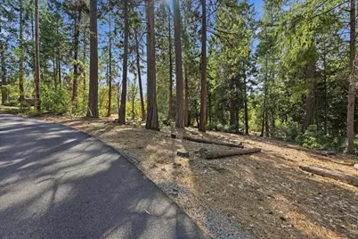 1860 Henrys Place, Camino, CA 95709 - Photo 3