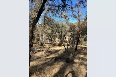 8380 Ascension Lane, Pilot Hill, CA 95664 - Photo 19