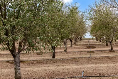8667 S Santa Lucia Court, Escalon, CA 95320 - Photo 91