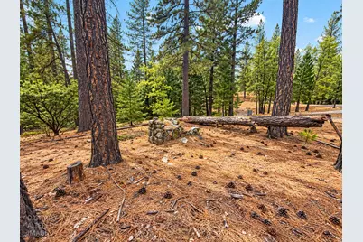 13694 Old Emigrant Trail, Grass Valley, CA 95945 - Photo 1