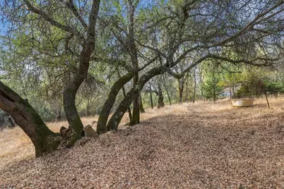 14572 La Place Lane, Dobbins, CA 95935 - Photo 21