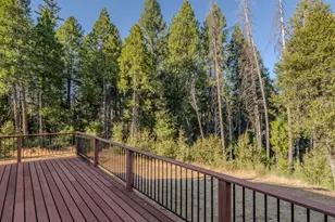 21641 Allan Rd, Volcano, CA 95689 - Photo 35