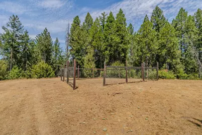 21641 Allan Road, Volcano, CA 95689 - Photo 45