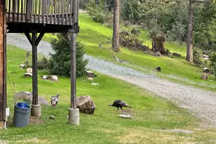 21641 Allan Rd, Volcano, CA 95689 - Photo 59