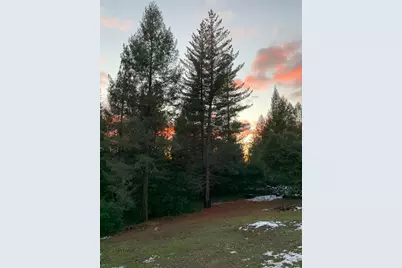 21641 Allan Road, Volcano, CA 95689 - Photo 61