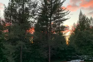 21641 Allan Rd, Volcano, CA 95689 - Photo 61