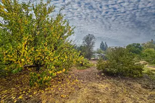 7460 14th St, Rio Linda, CA 95673 - Photo 29