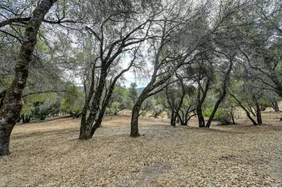 6470 Mary Ann Lane, Placerville, CA 95667 - Photo 77