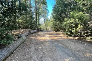 0 Yuletide Way, Georgetown, CA 95634 - Photo 1