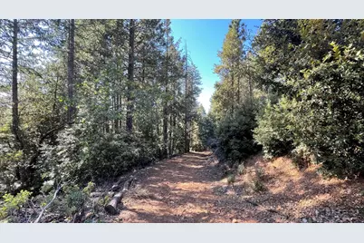 0 Yuletide Way, Georgetown, CA 95634 - Photo 21