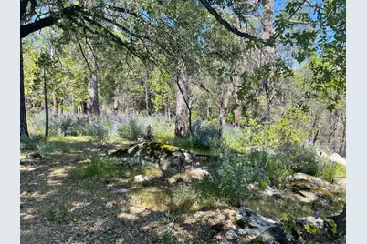 0 Lumpkin, Oroville, CA 95966 - Photo 15