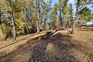 2720 Volley Ln, Meadow Vista, CA 95722 - Photo 77