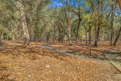 7458 Black Tree Lane, Citrus Heights, CA 95610 - Photo 59