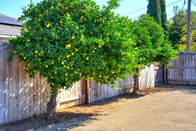 344 Harding, Manteca, CA 95336 - Photo 27