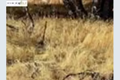 21858 Phoenix Lake Road, Sonora, CA 95370 - Photo 13