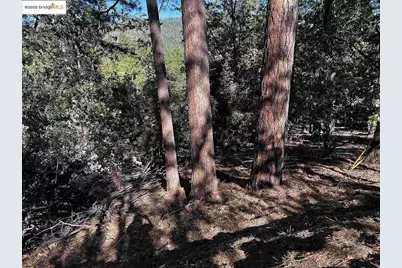 23804 S Oxbow Lane, Sonora, CA 95370 - Photo 29