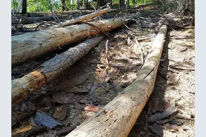 23804 S Oxbow Lane, Sonora, CA 95370 - Photo 3