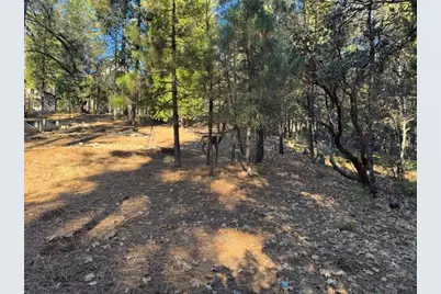 2698 Country Club Drive, Arnold, CA 95223 - Photo 3