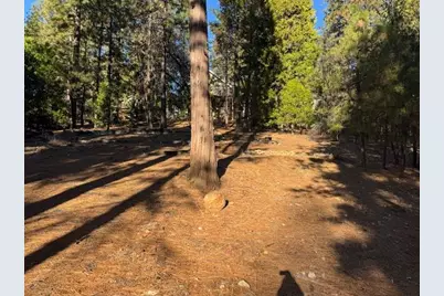 2698 Country Club Drive, Arnold, CA 95223 - Photo 11