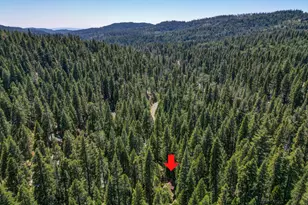 4341 Walapar Ln, Camp Connell, CA 95223 - Photo 43