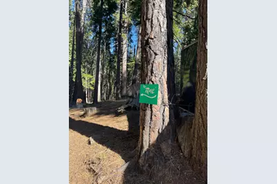 1641 Meadowview Road, Arnold, CA 95223 - Photo 43