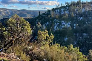 5863 Silver Saddle Dr, Hathaway Pines, CA 95233 - Photo 43