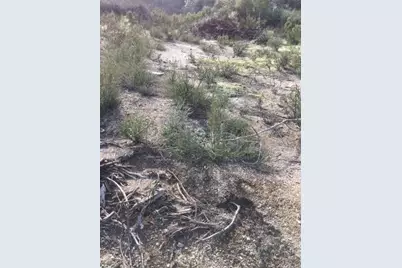 0 Lakeside Drive, Mountain Ranch, CA 95246 - Photo 11