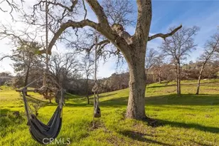 33940 Jennifer Way, Coarsegold, CA 93614 - Photo 49