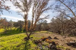 33940 Jennifer Way, Coarsegold, CA 93614 - Photo 45