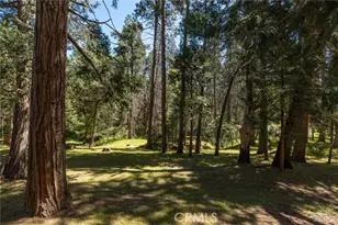 36333 Finegold Creek, North Fork, CA 93643 - Photo 49